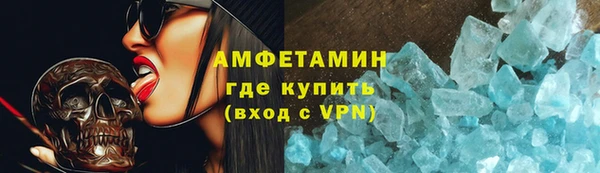 шишки Горно-Алтайск