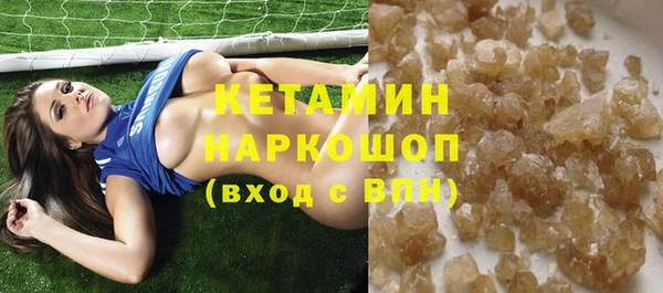 шишки Горно-Алтайск