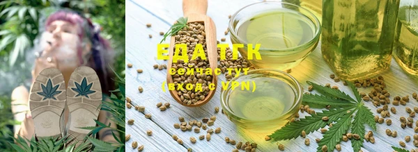 шишки Горно-Алтайск