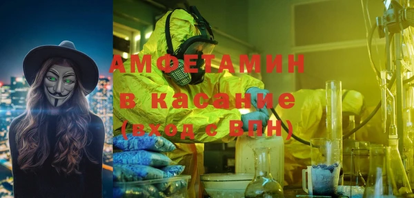стаф Вяземский