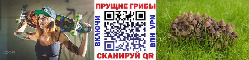 Купить где  Брюховецкая  Галлюциногенные грибы мицелий 
